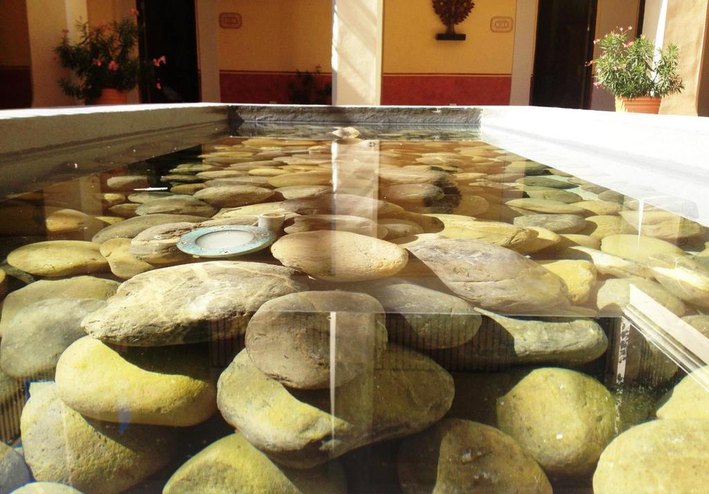 Hotel Boutique Las Palomas De Santiago Pueblo Magico 외부 사진